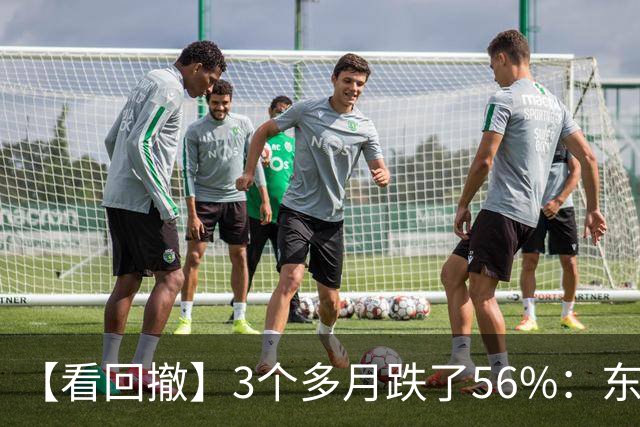 【看回撤】3个多月跌了56%：东方阿尔法基金百万持有人何去何从？