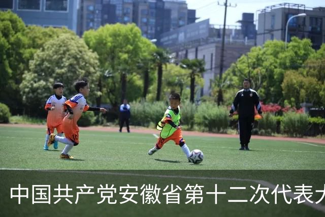 中国共产党安徽省第十二次代表大会胜利闭幕