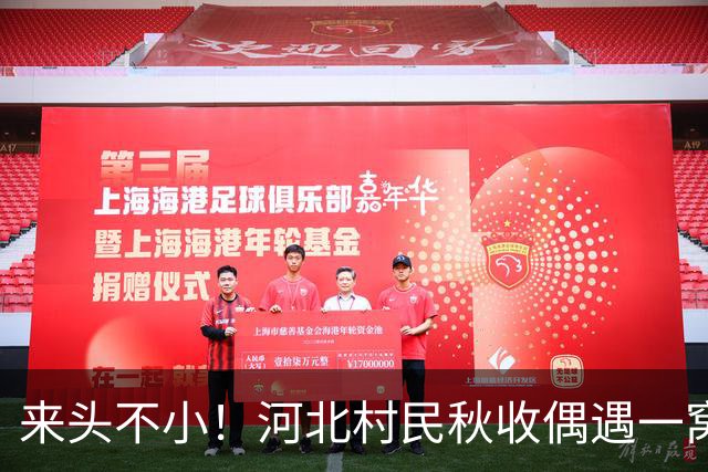 来头不小！河北村民秋收偶遇一窝幼崽，身份不简单，立马让地停收