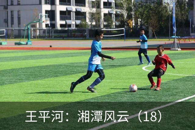 王平河：湘潭风云（1/8）